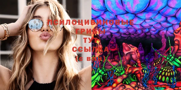 каннабис Елизово